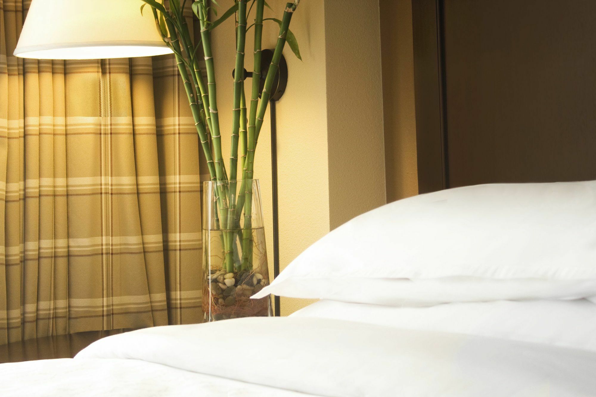 Sheraton Atlanta Perimeter North Sandy Springs Exteriér fotografie